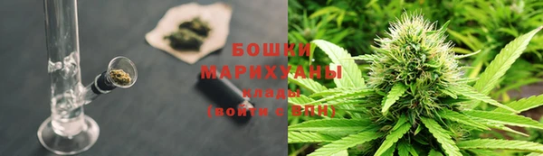 прущая мука Вяземский