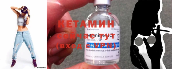 прущая мука Вяземский