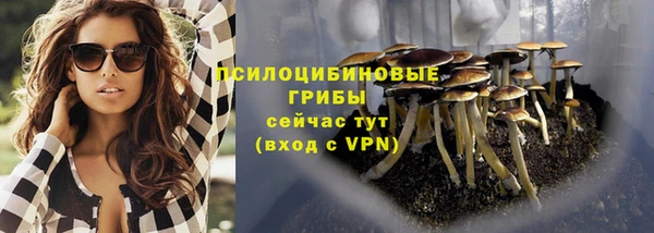 прущая мука Вяземский