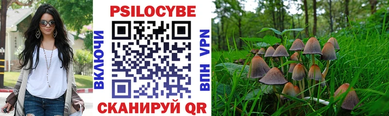 Купить  Бабушкин  Псилоцибиновые грибы мицелий 