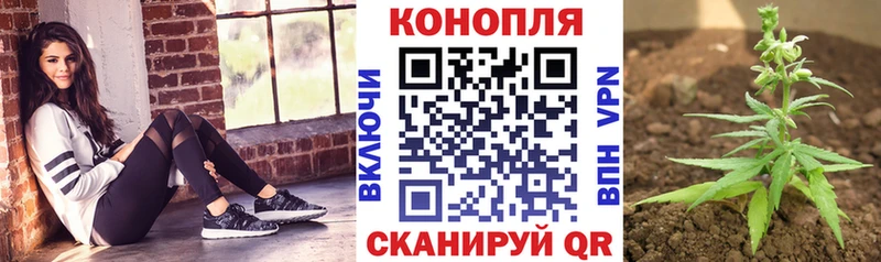 Бошки марихуана Amnesia  Купить где  Бабушкин 